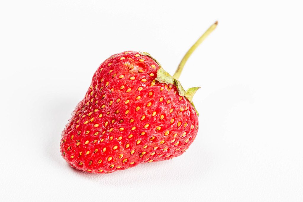 Bone Dry Farm - Strawberries