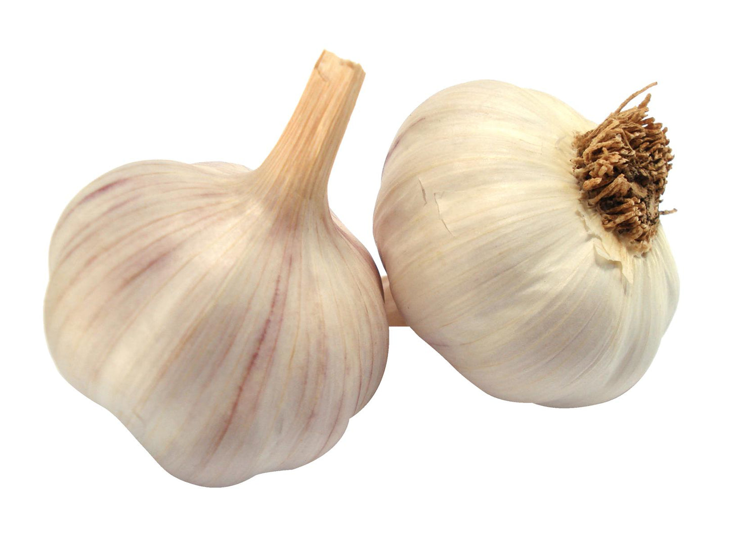 Dehydrated Garlic