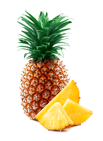 Bone Dry Farm - Pineapples