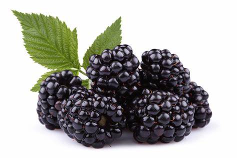 Dehydrated Blackberries