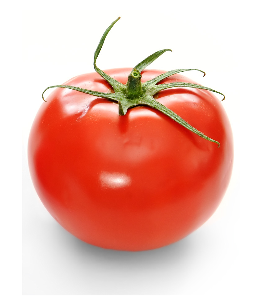 Bone Dry Farm - Tomatoes