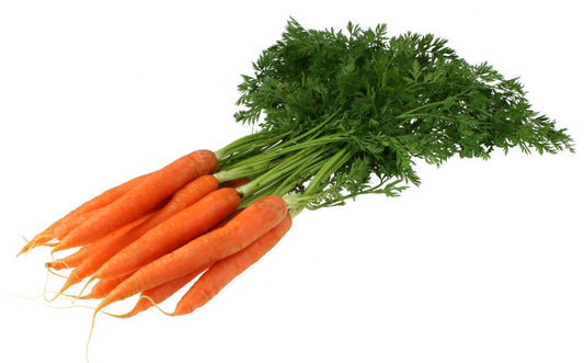 Bone Dry Farm - Carrot