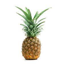 Bone Dry Farm - Pineapples