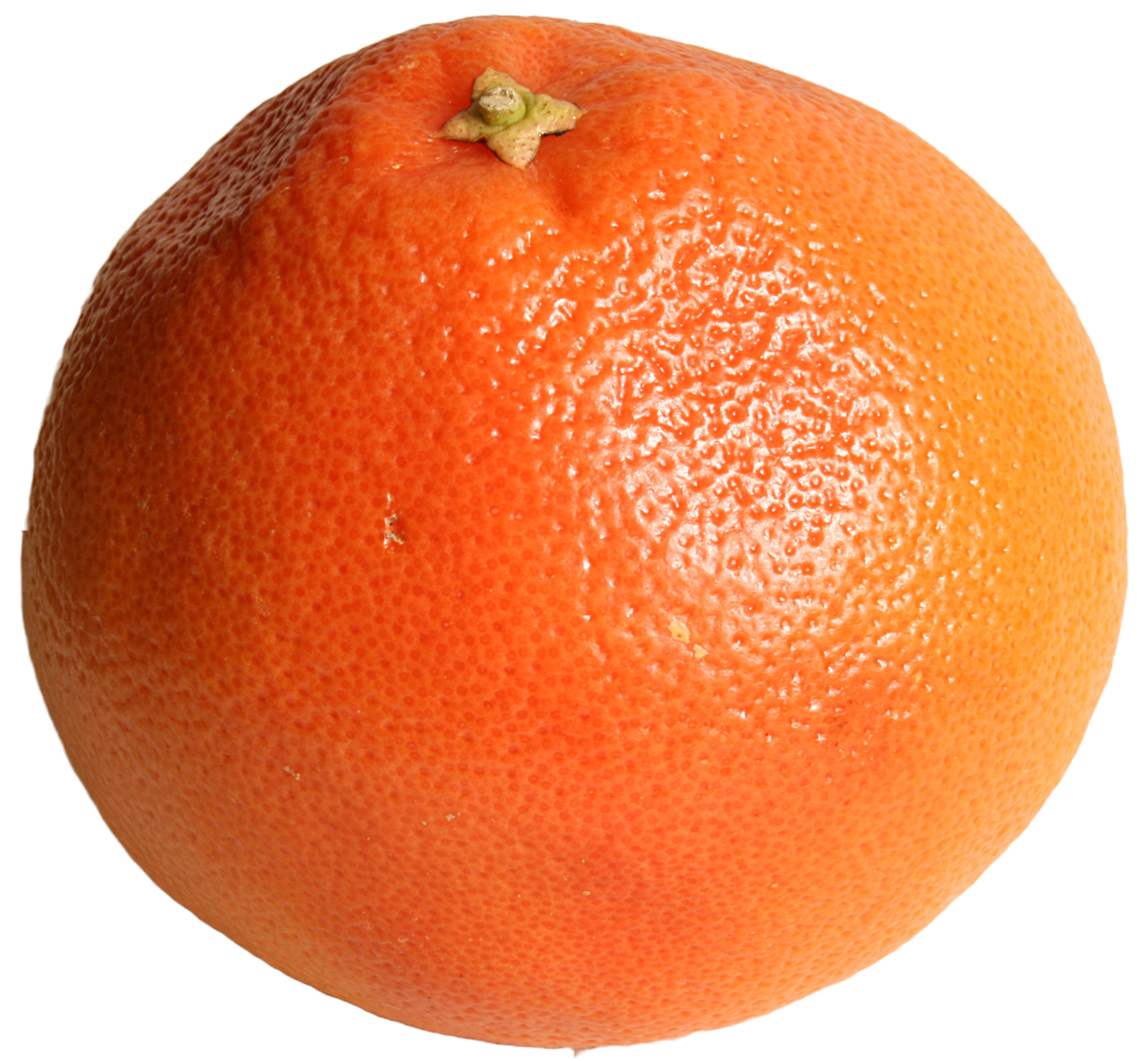 Bone Dry Farm - Grapefruit